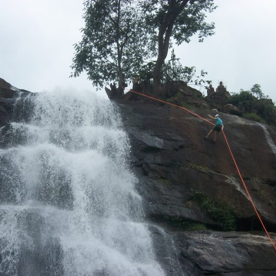 https://www.ascacafesespeciais.com.br/wp-content/uploads/2015/05/056-540x540.jpg