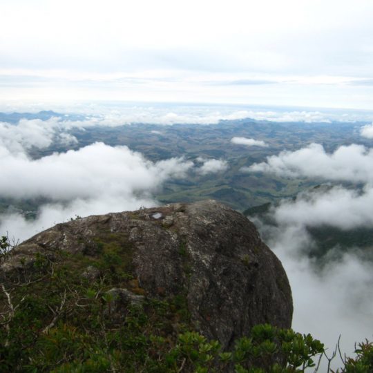 https://www.ascacafesespeciais.com.br/wp-content/uploads/2015/05/20121025134851-540x540.jpg