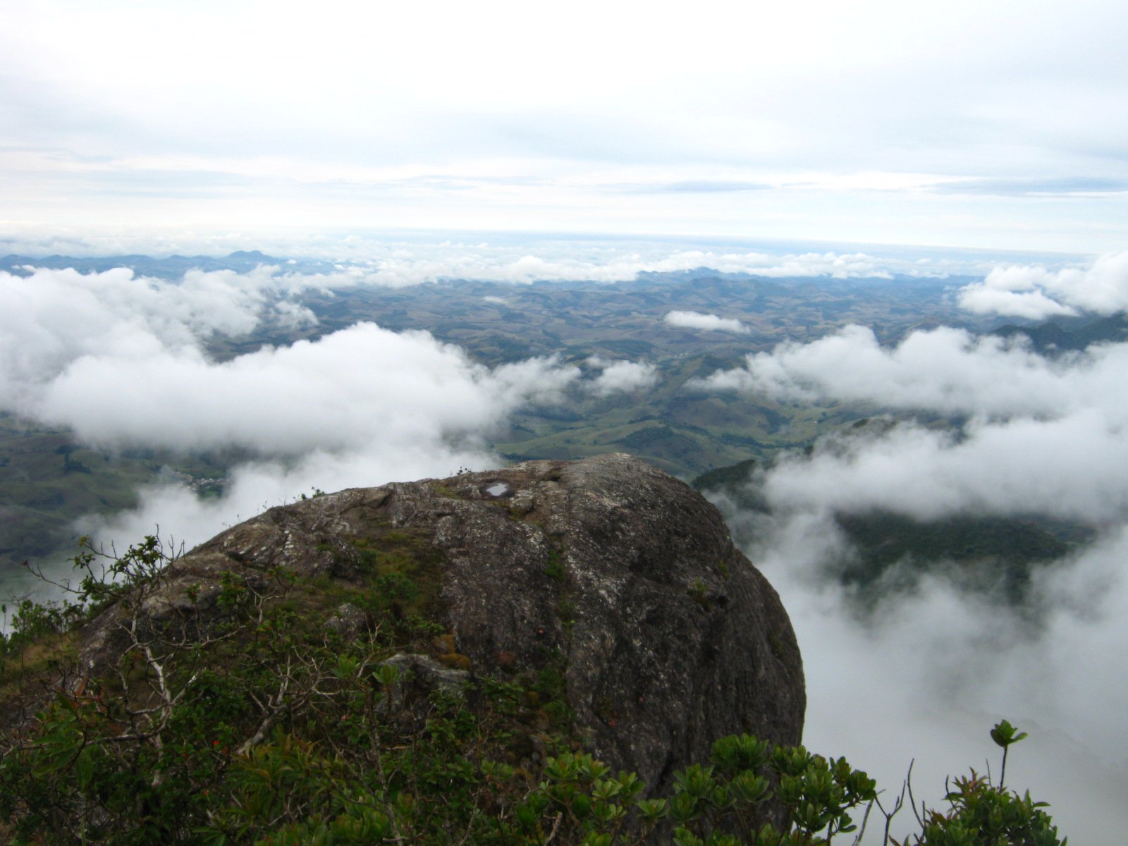 https://www.ascacafesespeciais.com.br/wp-content/uploads/2015/05/20121025134851.jpg
