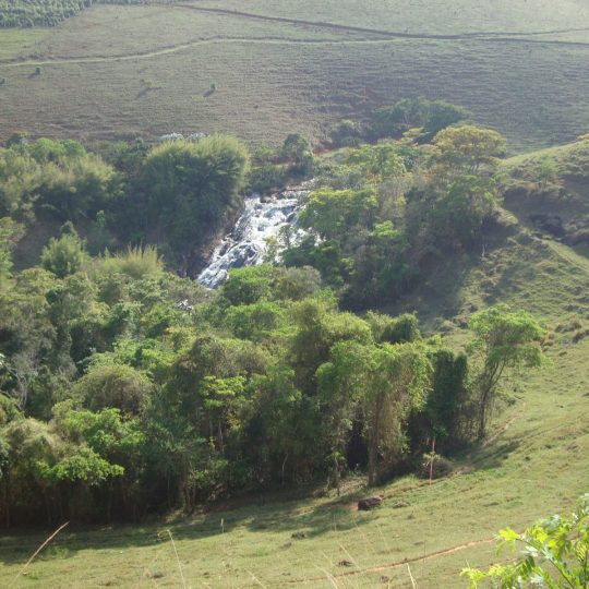 https://www.ascacafesespeciais.com.br/wp-content/uploads/2015/05/DSC05368-540x540.jpg