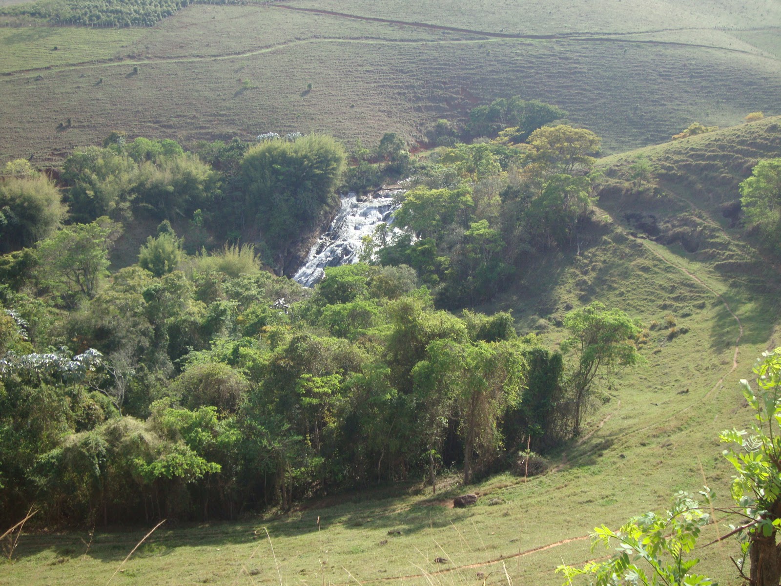 https://www.ascacafesespeciais.com.br/wp-content/uploads/2015/05/DSC05368.jpg