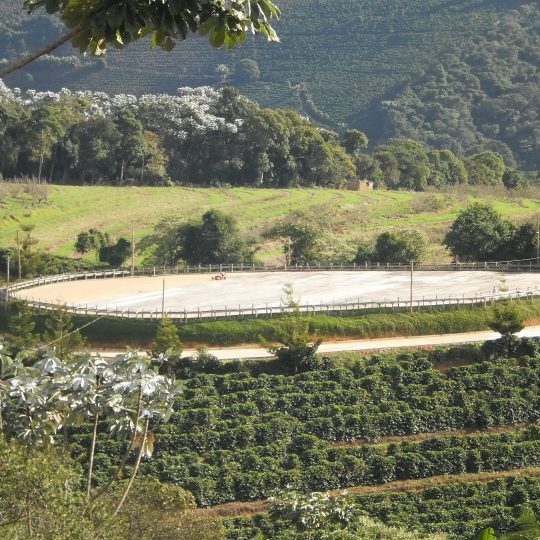 https://www.ascacafesespeciais.com.br/wp-content/uploads/2015/05/foto34-540x540.jpg