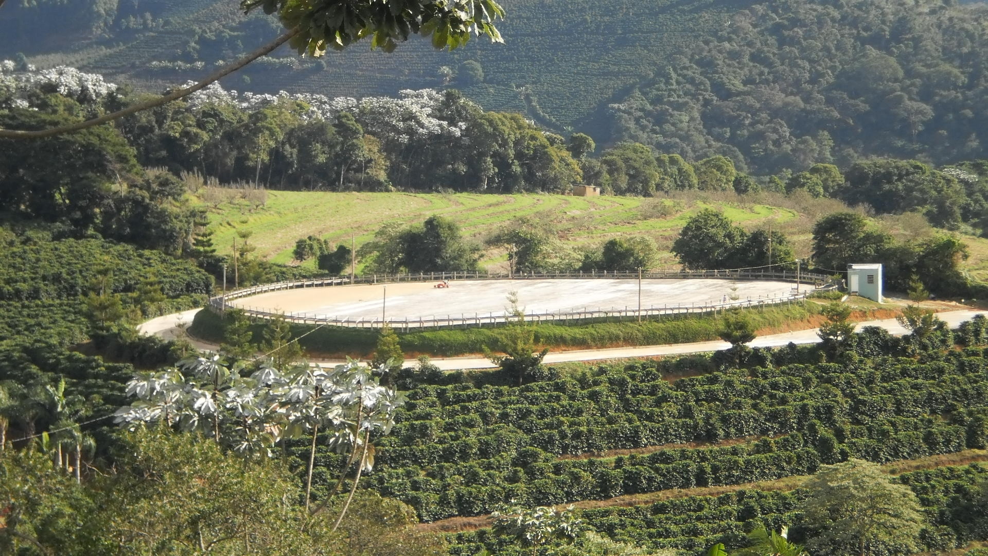 https://www.ascacafesespeciais.com.br/wp-content/uploads/2015/05/foto34.jpg