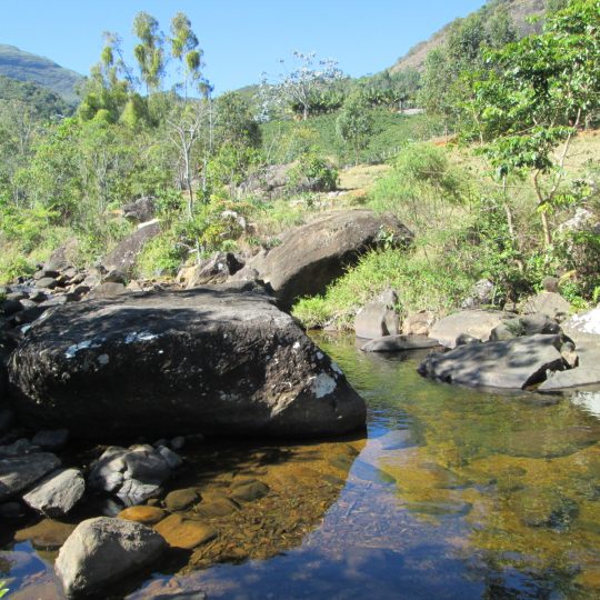 https://www.ascacafesespeciais.com.br/wp-content/uploads/2015/05/imageproxy-540x540.jpg