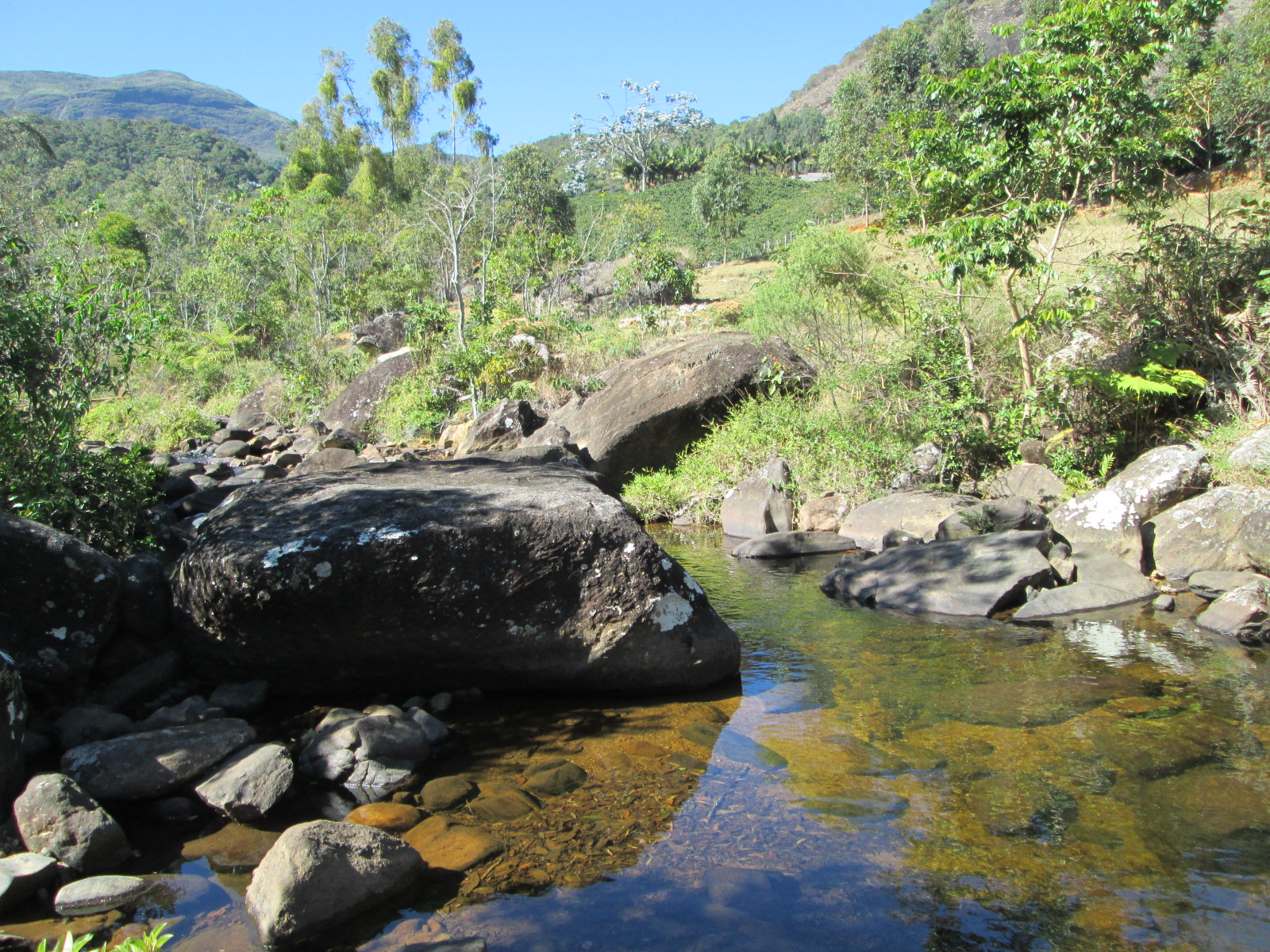 https://www.ascacafesespeciais.com.br/wp-content/uploads/2015/05/imageproxy.jpg