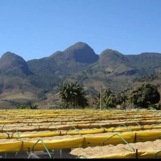 Família Sanglard é campeã do Concurso Florada Premiada 2021